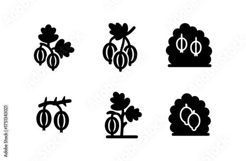 Gooseberry icons set for design, card, poster and digital use