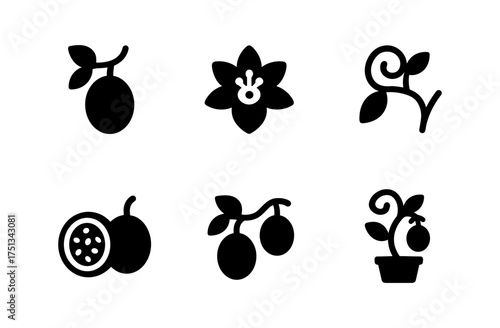 Passion fruit icons set for digital design and print projects