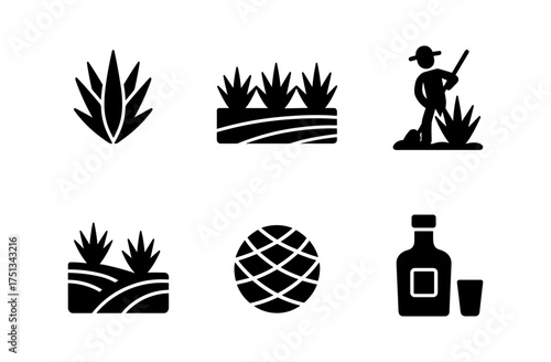 Agave icons set for tequila and farming themes - botanical and beverage design elements