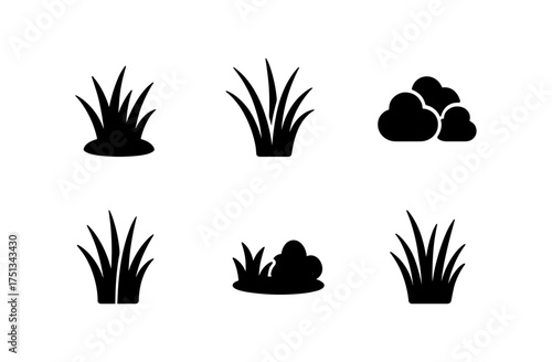 Blue fescue grass and shrub icon collection for minimalist landscape design and decoration