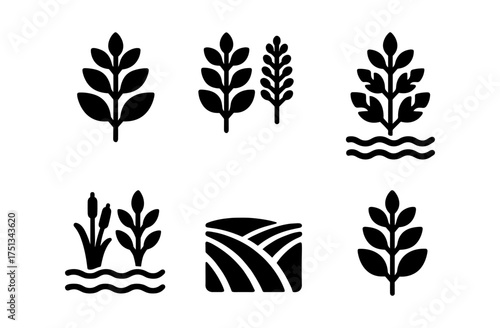 Elegant royal fern icon set for nature-inspired designs and decor