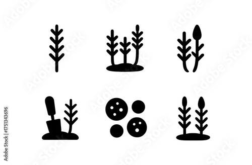 Lycophyte icon set for nature design projects