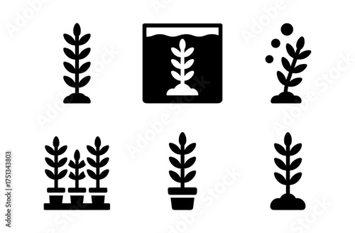 Anacharis aquarium plant icons for aquatic design and decoration projects