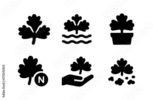 Mosquito fern icon set with nature, plant care, and environmental symbols for design