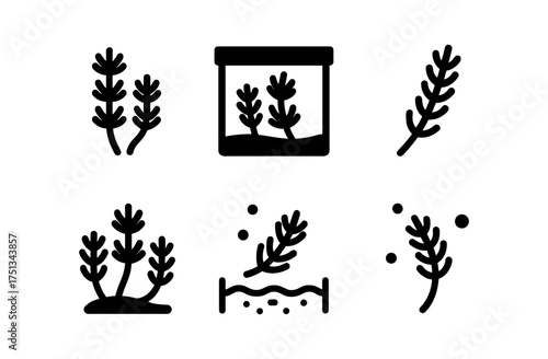 Minimalist aquatic plant icons set for water-themed design projects or educational use