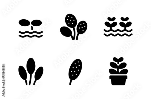Salvinia icon set for nature design elements and plant-based projects