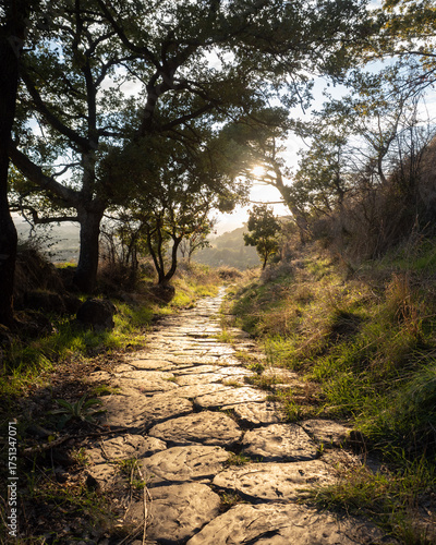 strada romana sul Monte Tuscolo, in provincia di Roma