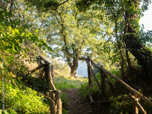 Monte Tuscolo, in provincia di Roma