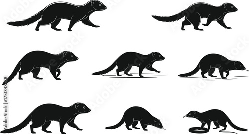 Mongoose silhouette illustration, wild animal vector, predator clipart, snake fight design, wildlife art, standing mongoose, walking pose, attacking snake, nature