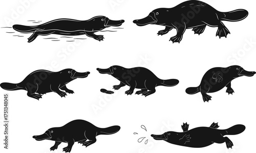 Platypus silhouette illustration, Australian wildlife vector, marsupial monotreme clipart, nature art, swimming platypus, walking pose, underwater animal, unique wildlife design