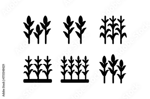 Cornfield icon set for agricultural design projects and digital use