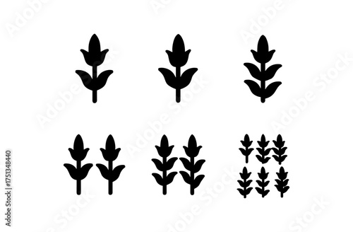 Simple cornfield icon set for agricultural designs and concepts