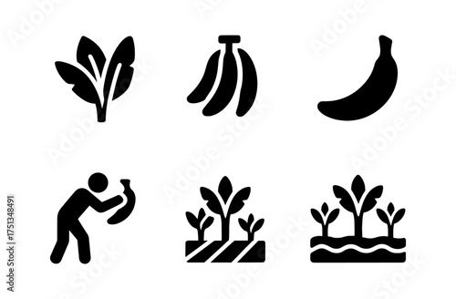 Banana plantation icon set for agriculture and farming design