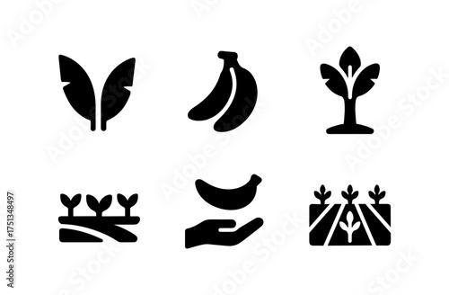 Banana plantation icons set for agricultural and botanical design projects