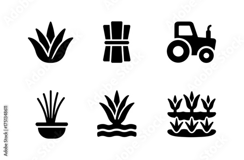 Agave plant icons set for nature and agriculture design projects