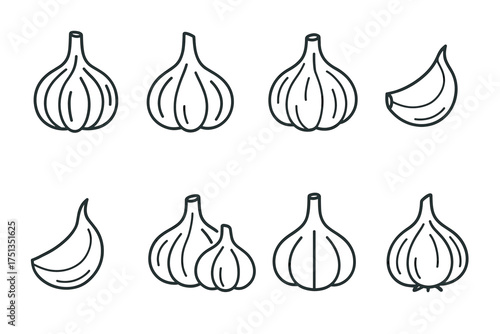 Hand-drawn garlic variations: cloves and bulbs illustrations