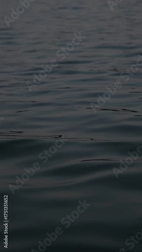 Dark water surface displays gentle ripples, creating a serene atmosphere