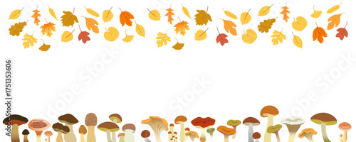 horizontal frame from autumn leaves and mushrooms in vector. Template for background, wallpaper, banner, backdrop, decoration