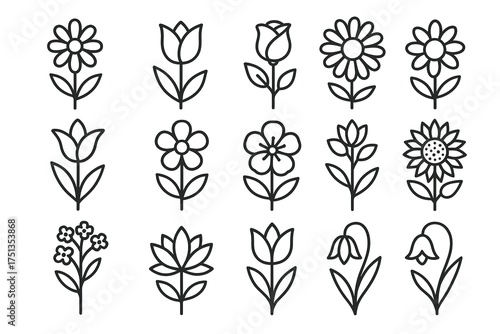 Collection of simple floral line art illustrations featuring various flower designs