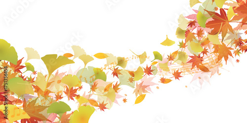 紅葉　イチョウ　秋　背景	