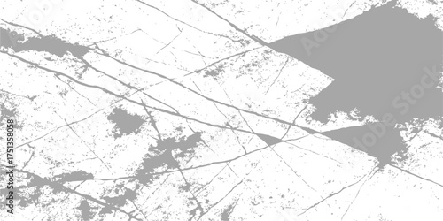 Old vector grunge background texture with a vintage tree branch pattern. map, ancient, frame, drawing, stone