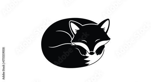 Cozy black fox curled up sleeping peacefully on white background