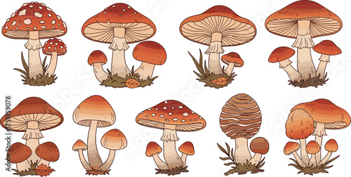 Colorful mushroom illustrations, whimsical fungi vector set, forest elements, botanical clipart, fantasy mushroom icons, nature-inspired design, mycology art pack