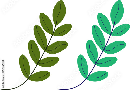 Christmas mistletoe for winter decoration green leaves on white background