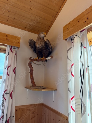 Stuffed bird on a perch in Norway 