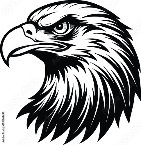 Powerful Majestic Eagle Head Portrait Majestic Bird of Prey