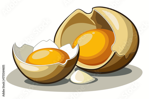 vector of Two eggs, one broken, with shadow isolated on white background
