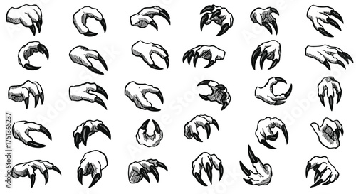 Diverse set of hand-drawn animal claws, paws, and talons, showcasing a variety of predatory and grasping poses in a versatile graphic illustration style