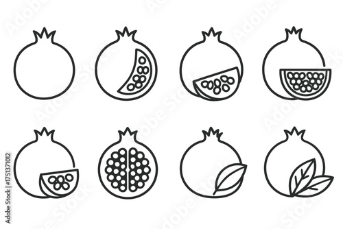 Pomegranate icon set with outline and seed variations