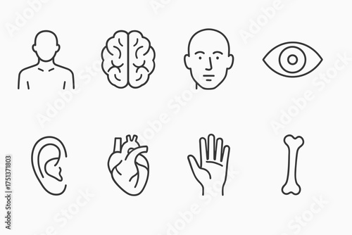 Human anatomy line icons: brain, heart, eye, ear, hand, bone representation
