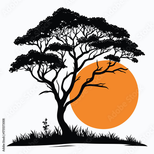 Beautiful isolated oak tree silhouette on white background with detailed branches
