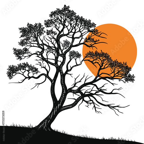 Collection of pine and fir tree silhouettes for forest and nature landscape design