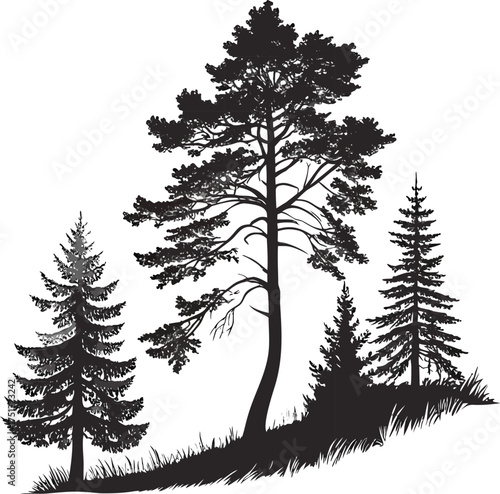Beautiful isolated oak tree silhouette on white background with detailed branches