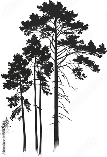 Collection of pine and fir tree silhouettes for forest and nature landscape design