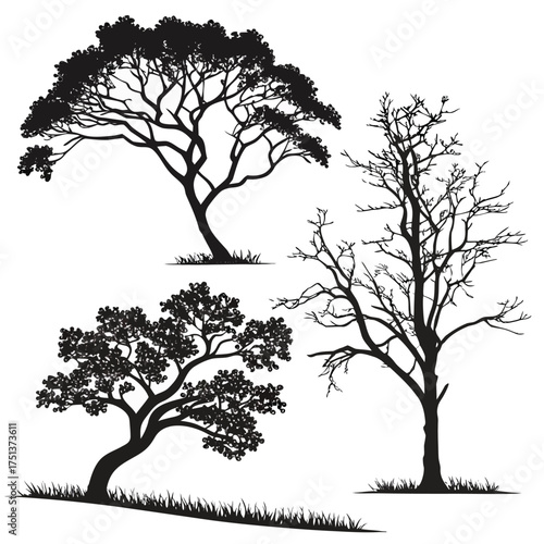 Pine Forest Silhouette Landscape Vector