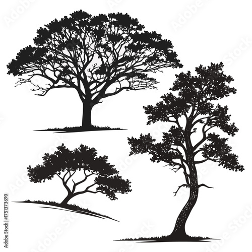 Winter Leafless Tree Silhouette Design