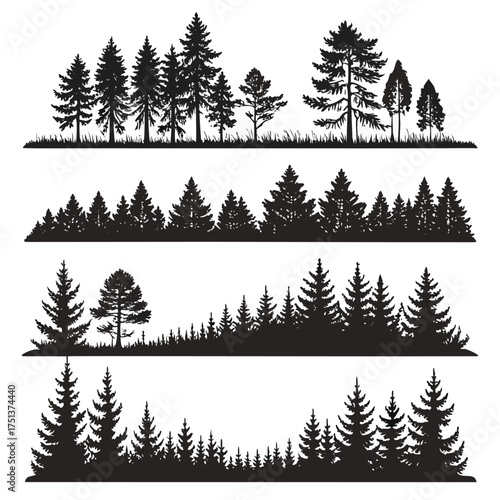 Tall Pine Tree Silhouette Isolated