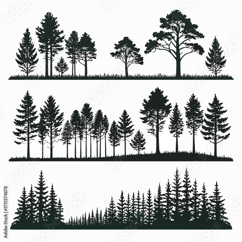 Tree Silhouette with Detailed Branches