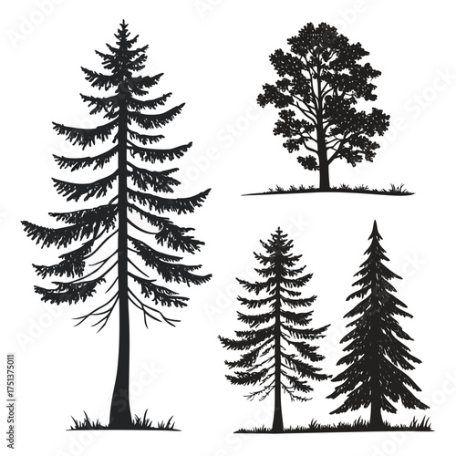 Forest Tree Silhouette Vector Illustration