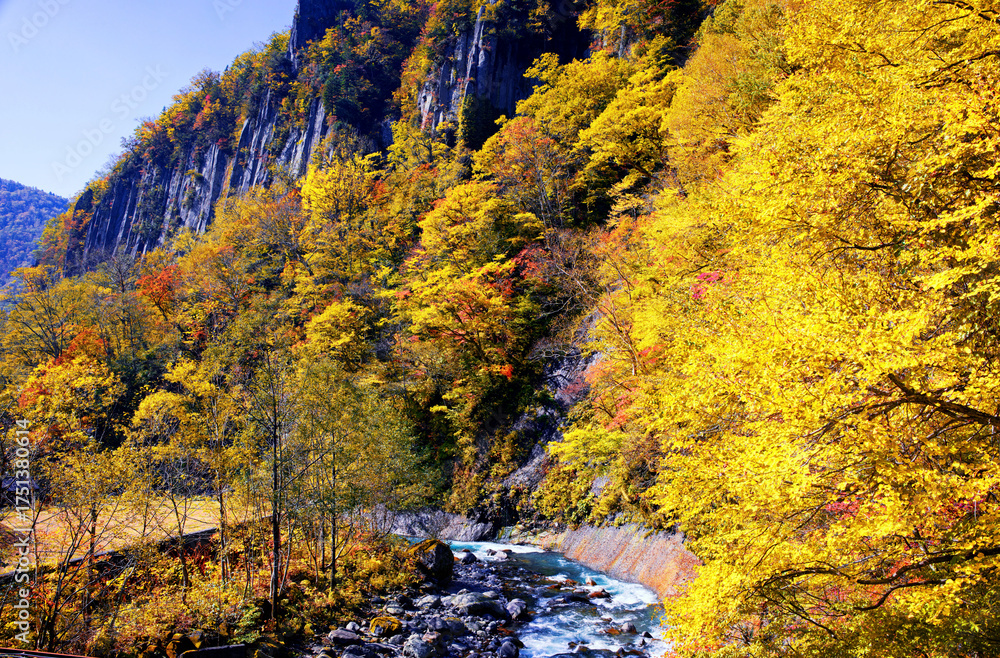 Fototapeta premium 天人峡の紅葉