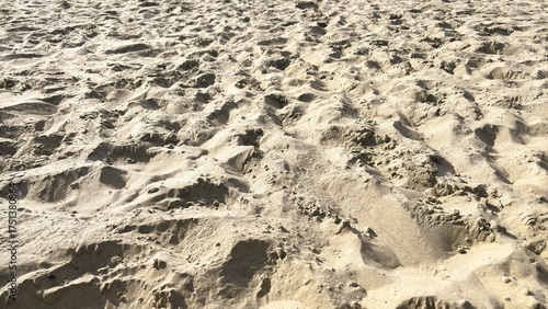 Wallpaper Mural Sand on the Beach Torontodigital.ca