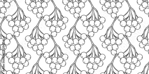 Rowan berries seamless pattern. Hand drawn line art vector background.