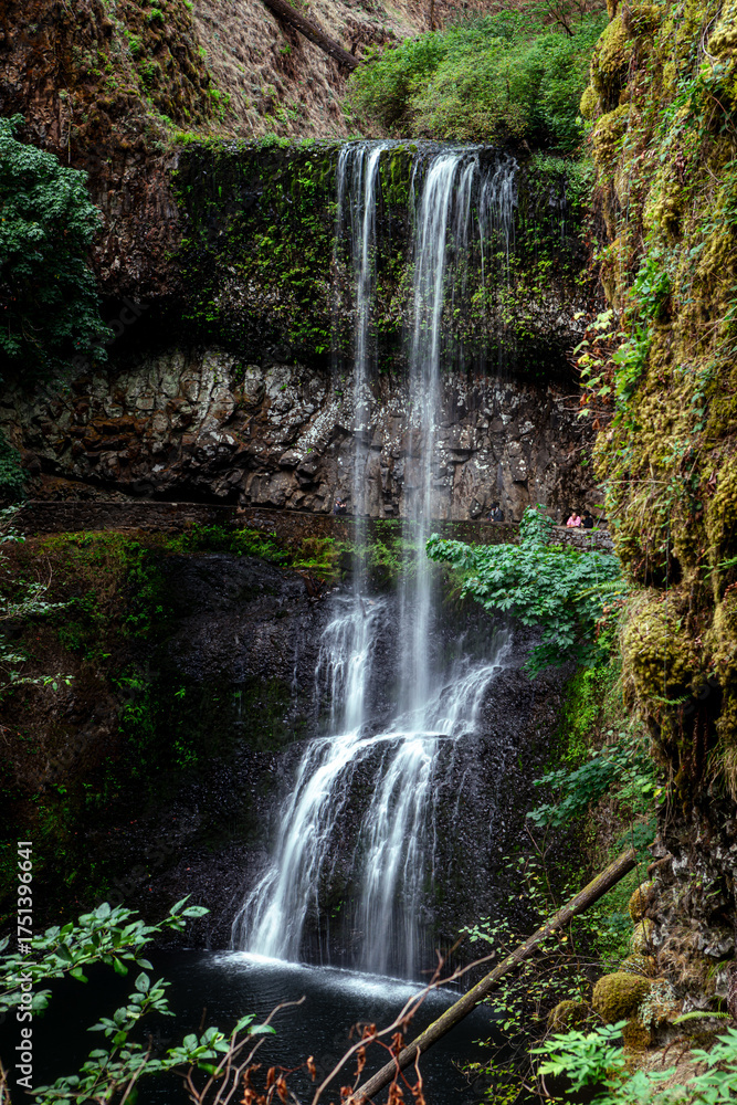 Obraz premium Late Waterfall