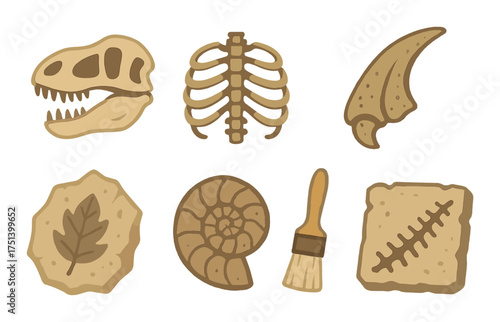Dinosaur fossils and tools illustration with skull, claw, and brush