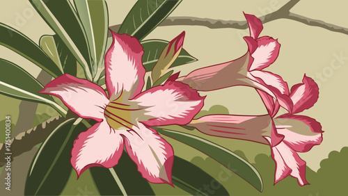 Beautiful desert rose flower illustration with water drops and pink petals for floral design art 100