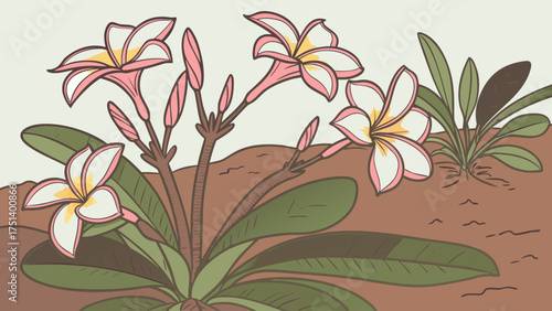 Beautiful plumeria flower blossom illustration tropical flora design with pink petals and green leaves art